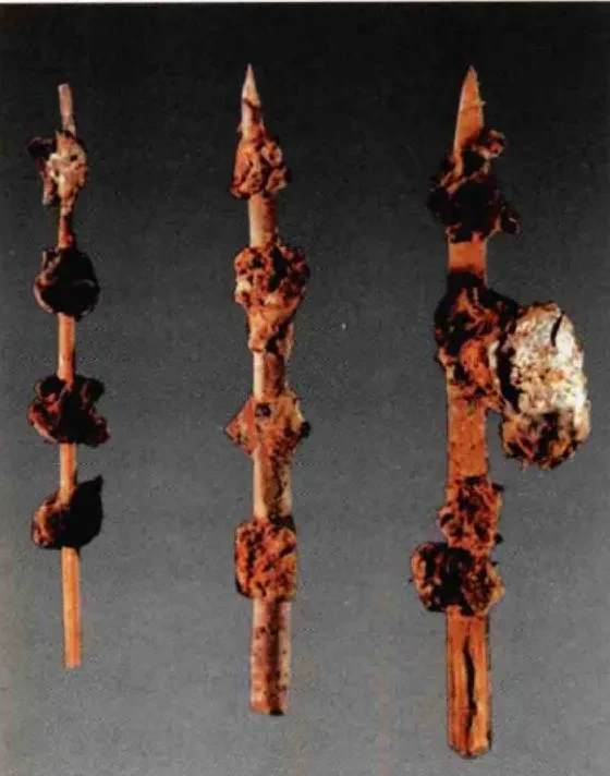 古代历史人物的历史资料_历史人物古代资料介绍_古代史历史人物