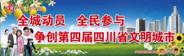 四川安岳名人故事简述_安岳历史名人_名人历史安岳是谁