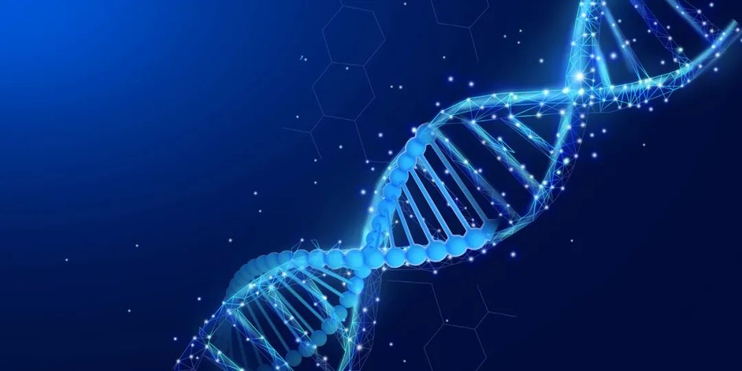 研究历史最重要的手段文献_什么是研究历史的重要手段_手段重要历史研究是指什么