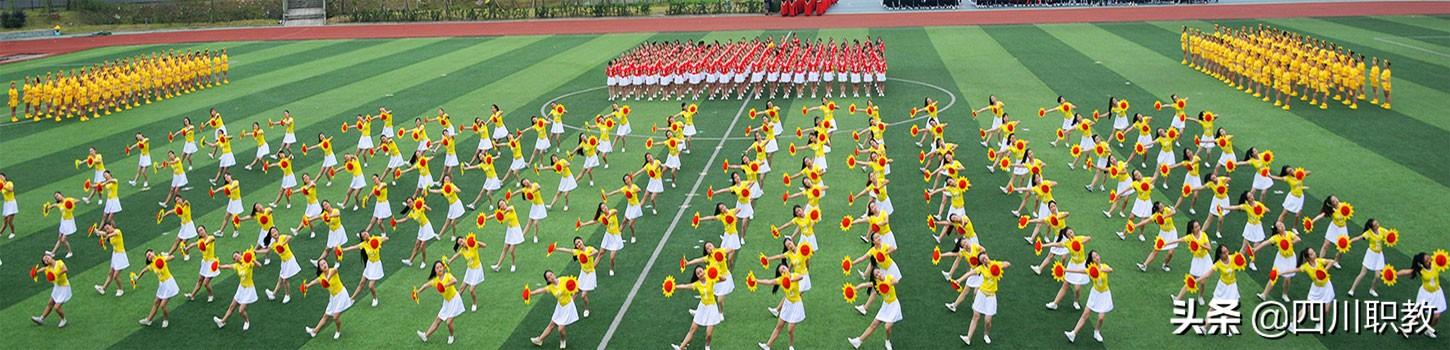 川南幼儿师范高等专科学校(川南幼儿师范高等专科学校专升本)