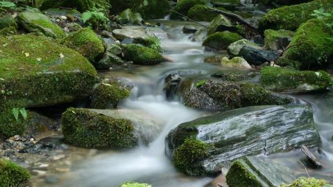 历史的风水大师_历代风水大师的结局_历史风水大师有那些