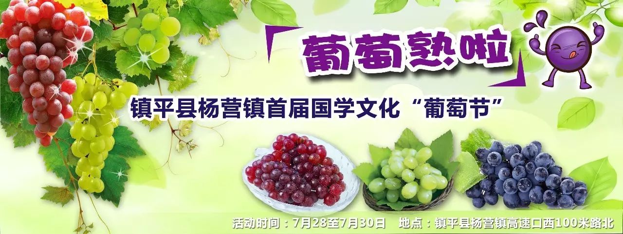 国学文化包括哪些内容_国学文化是什么_文化国学