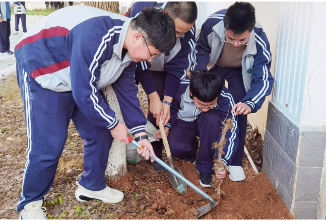 幼儿 国学_国学幼儿园教案_国学幼儿园