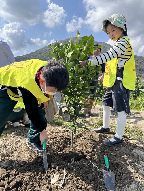 国学幼儿园教案_幼儿 国学_国学幼儿园