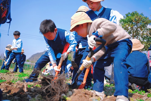 幼儿 国学_国学幼儿园教案_国学幼儿园