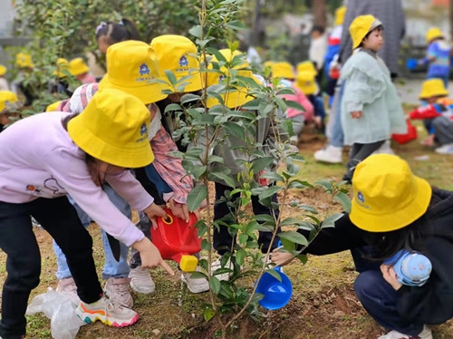 国学幼儿园_幼儿 国学_国学幼儿园教案