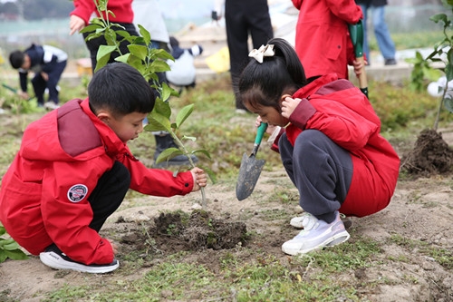 国学幼儿园_幼儿 国学_国学幼儿园教案