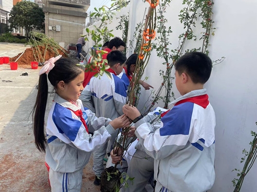 国学幼儿园教案_幼儿 国学_国学幼儿园