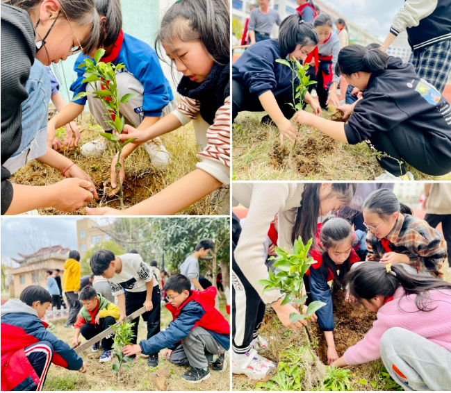 国学幼儿园教案_幼儿 国学_国学幼儿园