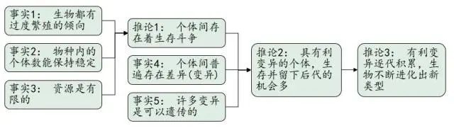 社会最优数量_社会最优数量_社会最优数量