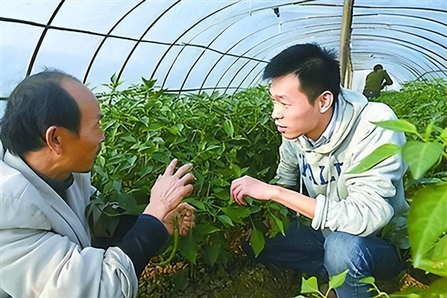文史编辑陈天翔_文史编辑_文史编辑部
