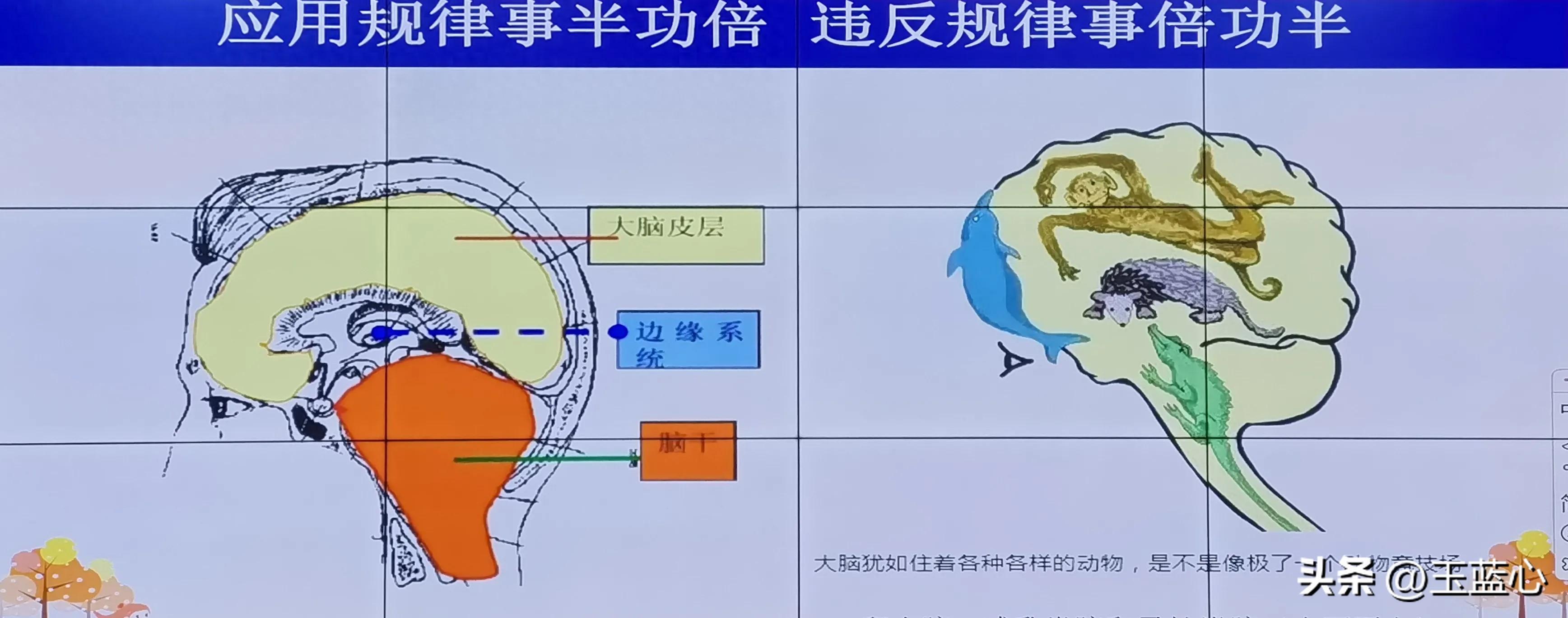 社会理想在我国指的是_理想国的理想社会_理想国所描述的社会