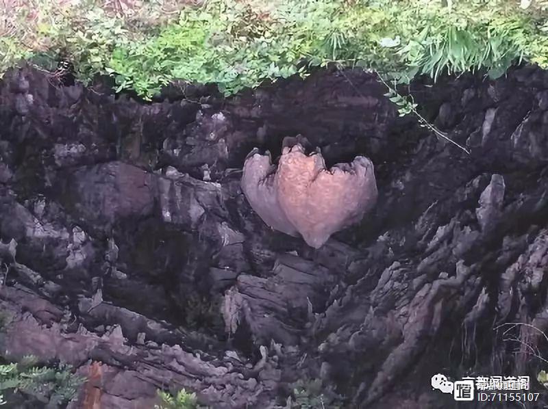 民间传闻_民间传闻是否真实_民间传闻是什么生肖