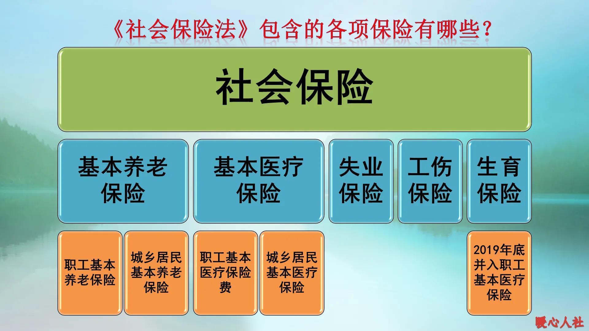 社保交费基数是_社保缴费基数是指_社会保险缴费基数是什么