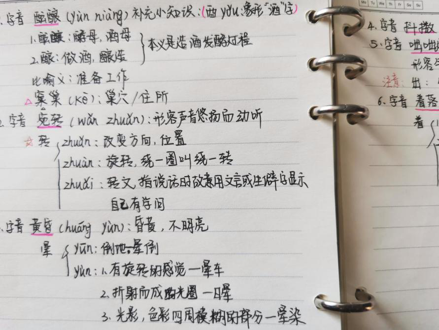 实践社会历史性_实践社会学理论_社会实践
