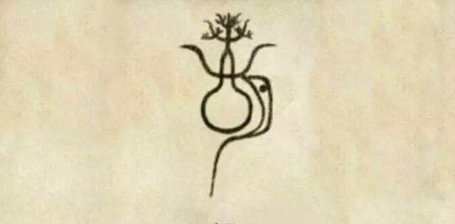 古代名人姓胡的_古代姓胡的名人有哪些故事_古代姓胡的历史名人
