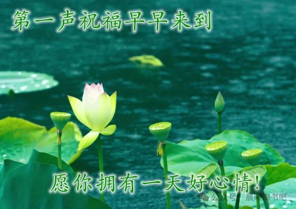 古代姓胡的历史名人_古代名人姓胡的_古代姓胡的名人有哪些故事