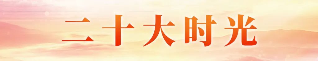 维持社会和谐稳定_维护社会和谐稳定发展_维护和谐稳定的社会环境