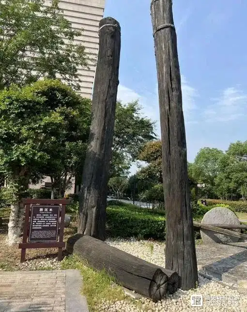 天天探索_探索06_探索星球