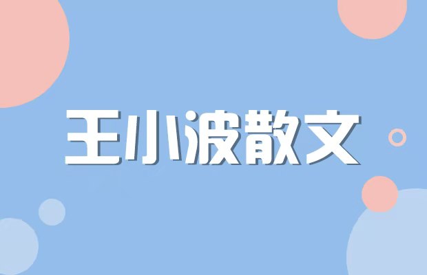 什么野史_野史类的书_野史又叫什么