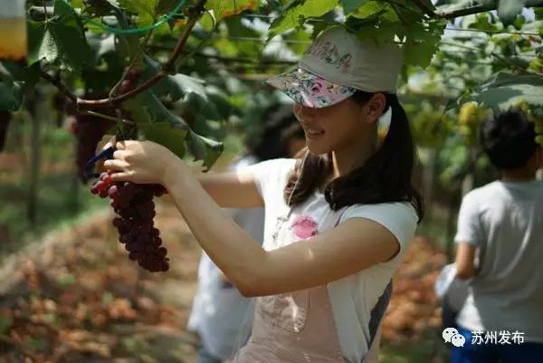 冯梦龙村最美漫步线路发布，千人体验等你来尝鲜