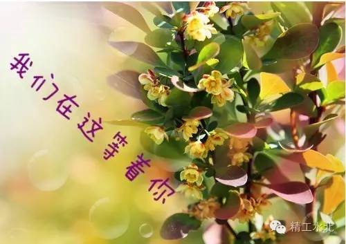 北镇历史人物_北镇历史名人_北镇古代名人有哪些