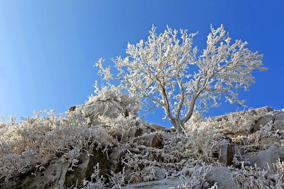 泰山的历史_泰山历史文化介绍_泰山历史典故简介