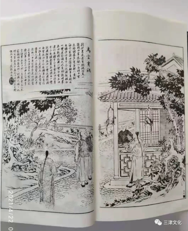 图片