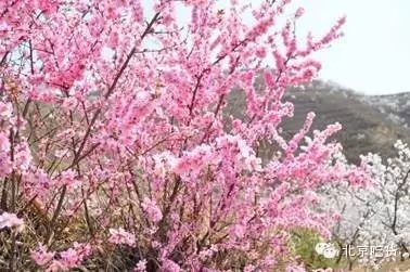 蓟县的名人_名人蓟县历史故事简介_蓟县历史名人