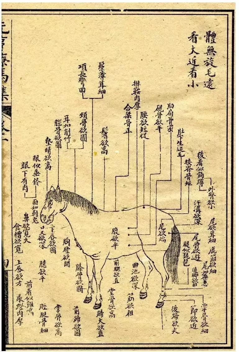文化是人类社会特有的现象_文化是人类社会特有的现象_人类社会的文化现象