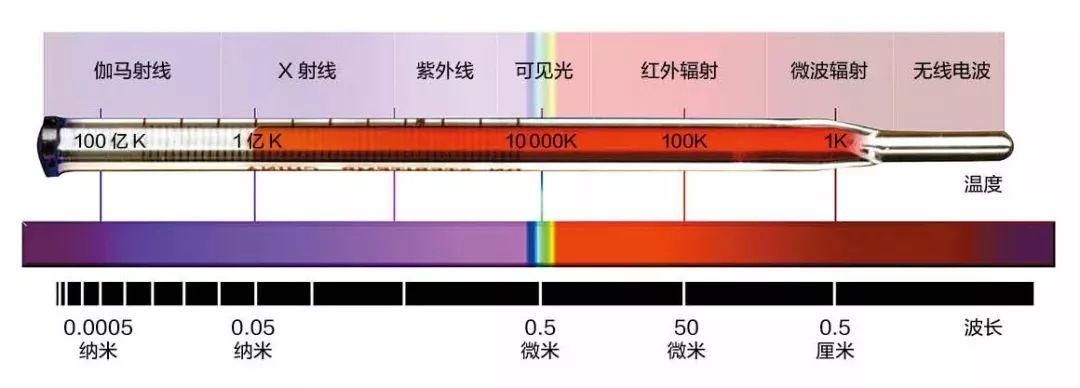 探索人类生命起源是啥_探索人类_探索人类的奥秘