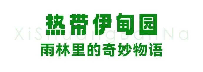 原始社会21天_原始社会天下为公的意思_原始社会天下为公的原因