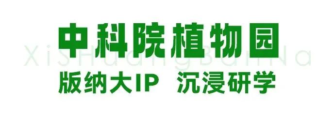 原始社会天下为公的意思_原始社会21天_原始社会天下为公的原因