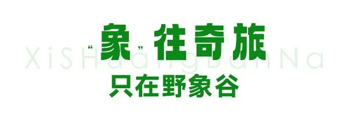 原始社会21天_原始社会天下为公的原因_原始社会天下为公的意思