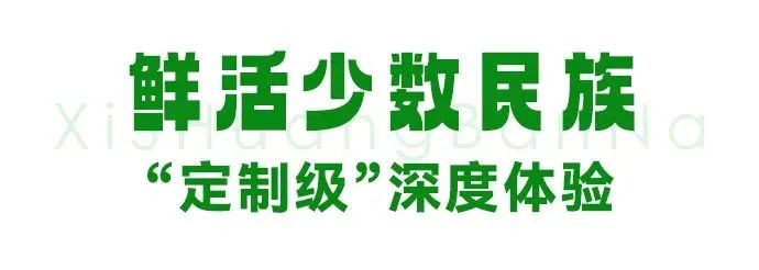 原始社会天下为公的意思_原始社会21天_原始社会天下为公的原因