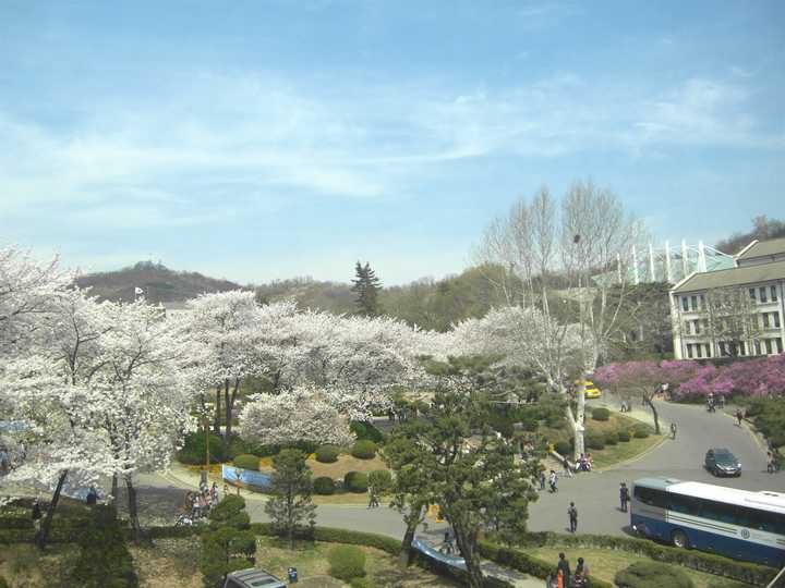 韩国学生发型_韩国学生_韩国学生累还是日本学生累