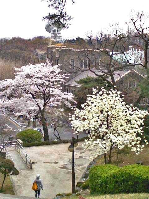 韩国学生_韩国学生累还是日本学生累_韩国学生发型