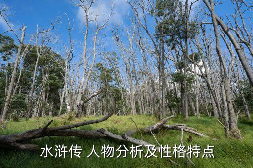 水浒传 人物分析及性格特点