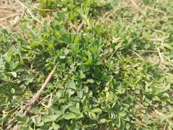 自然探索_与儿童一起探索自然_探索自然奥秘