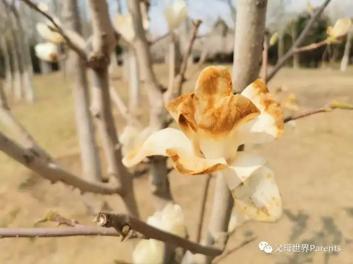 探索自然奥秘_自然探索_与儿童一起探索自然