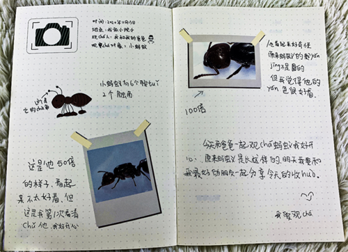 探索自然奥秘_自然探索_探索自然英文