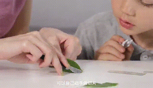 探索自然英文_自然探索_探索自然奥秘