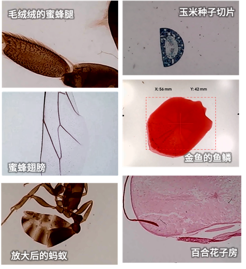 探索自然奥秘_探索自然英文_自然探索