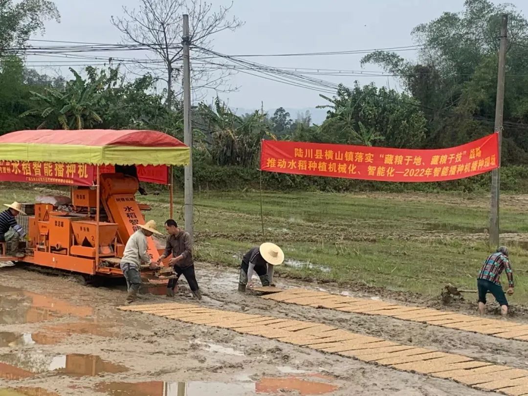 东南亚水稻种植历史_水稻种植历史_广西水稻种植历史