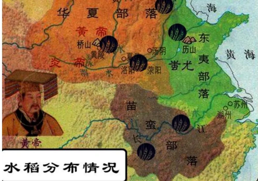 东南亚水稻种植历史_四川水稻种植历史_水稻种植历史