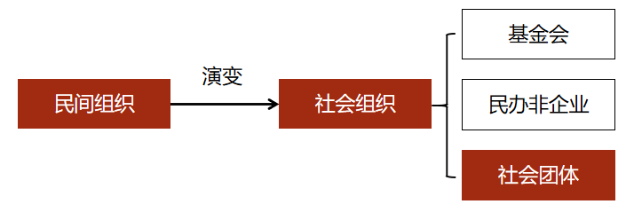 机构指社会是什么单位_社会机构是指哪些_机构指社会是什么机构