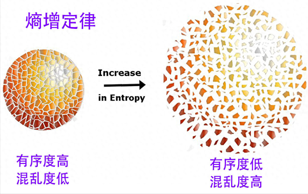 中国古代历史研究_中国古代历史研究最为重要的是_古代历史研究中国历史的书