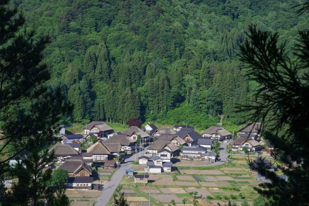 乡村社会组织_乡村社会_乡村社会实践活动内容怎么写