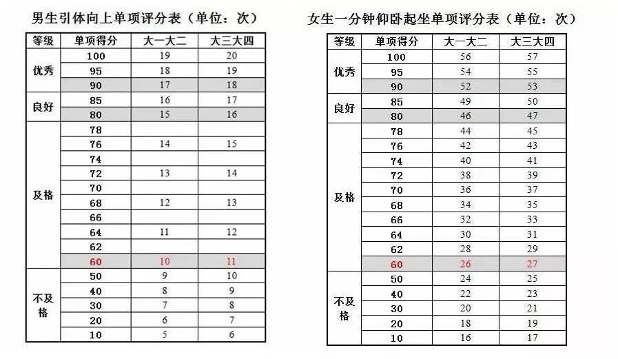 全国学生体质与健康_全国学生体质健康网_全国学生体质健康监测报告