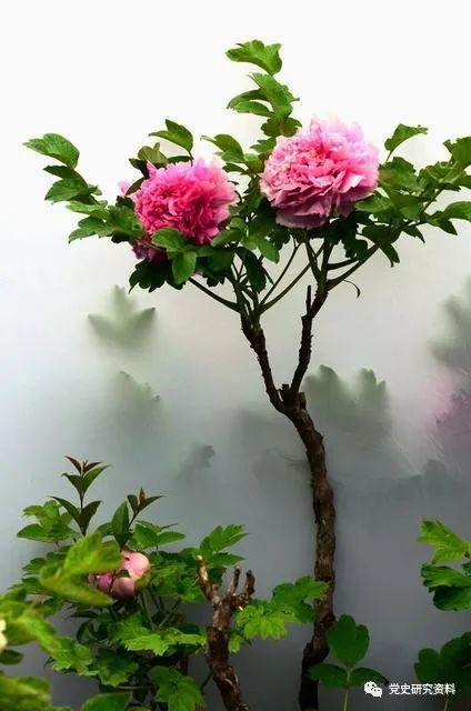 历史理论研究所_历史理论研究_理论历史学